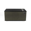 The Three II Wireless Speaker - Klipsch SG